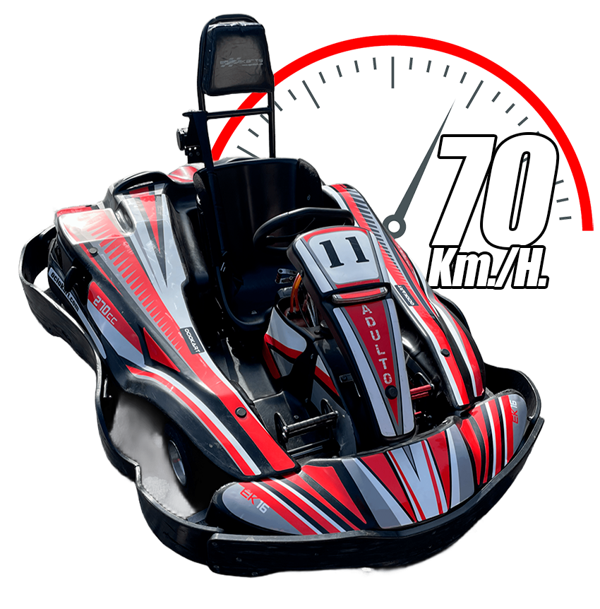 Kart Adulto